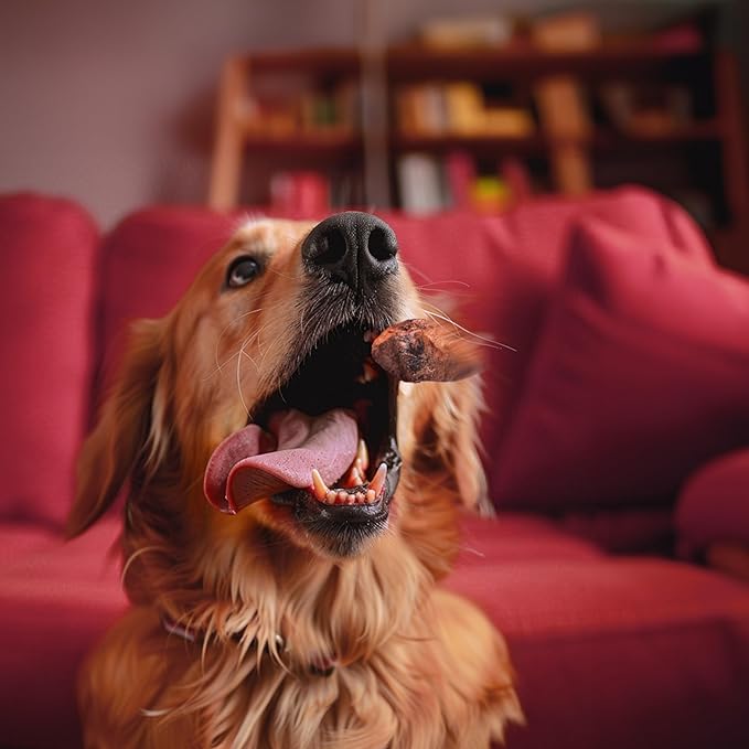 King Lou Pets - Whole Chicken Hearts for Dogs and Cats - Freeze Dried Cat Treats and Dog Treats - USA-Made Chicken Hearts - Taurine, Zinc, & Iron to Support Heart Health - Contains 50-60 Whole Hearts