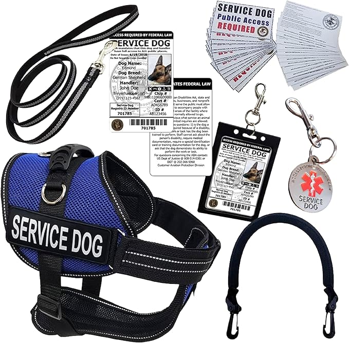 ActiveDogs Full Service Dog Kit - XL Blue - Service Vest Harness with Handle, ID Holder, ADA Cards, Medical Alert Keychain, Leash & Patches