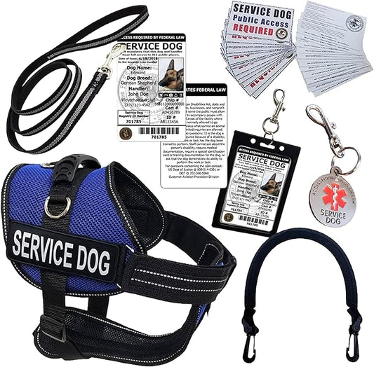 ActiveDogs Full Service Dog Kit - Small Blue - Service Vest Harness with Handle, ID Holder, ADA Cards, Medical Alert Keychain, Leash & Patches