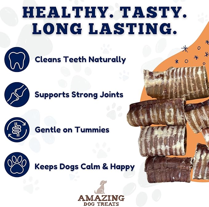 Amazing Dog Treats - 6 Inch Beef Trachea Dog Chews (10 pcs - 16.5 oz) - Trachea Dog Treats - NO Hide - Digestible and Safe Chews for Dogs - Glucosamine and Chondroitin for Joint Health