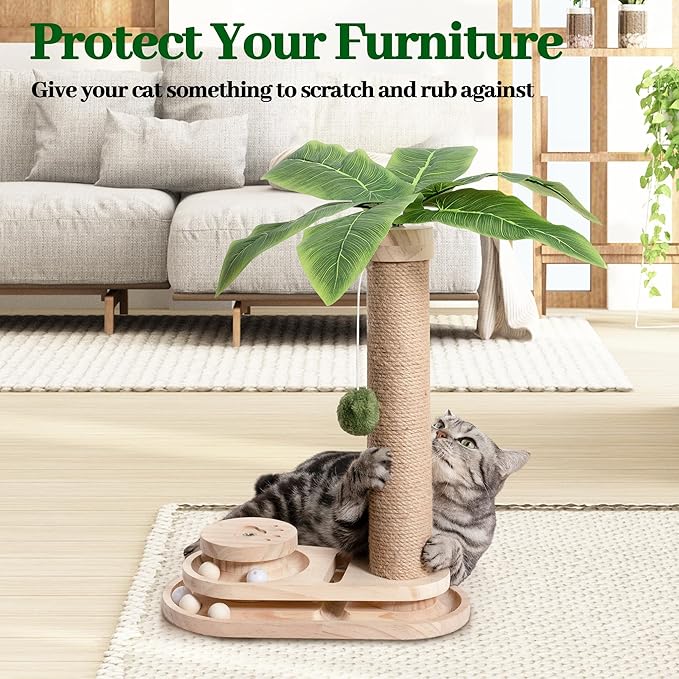 Meowoou Cat Scratching Post Cat Scratcher Interactive Toy with Dangling Ball for Indoor Kitten 2 Layer Base Wooden Ball Track 17.7" Tall Modern Sisal Scratch Pole