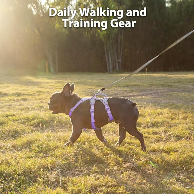 Huntboo Escape Proof Harness,No Slip Dog Harness Escape Proof,Fully Reflective Harness with Handle,Breathable,Durable,Adjustable Vest for Medium Dogs Walking,Training & Running Gear(Lavender Purple,M)