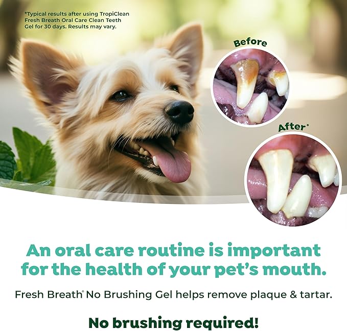 TropiClean Fresh Breath Dog Toothpaste for Teeth Cleaning, Breath Freshener, Easy to Use Plaque & Tartar Remover Gel, No Toothbrush Needed, 4oz.