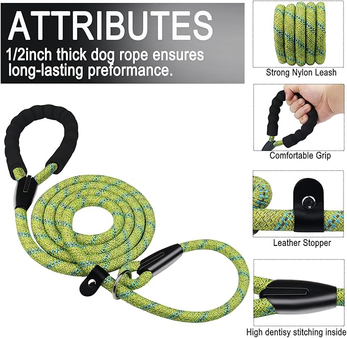 6 FT Heavy Duty Dog Leash, Durable Premium Quality Strong Training Rope Slip Leash with Comfortable Padded Handle and Highly Reflective Threads for Small Medium and Large Dogs, (Blue Green)