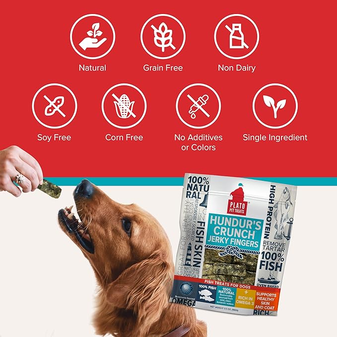 PLATO Hundur's Crunch Jerky Fingers 3.5oz, Natural