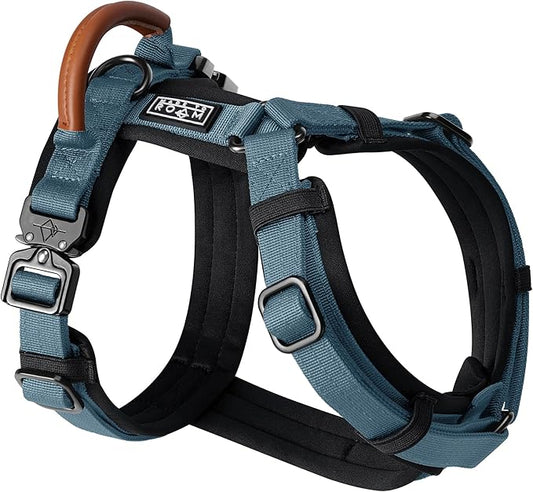 MADE TO ROAM Premium Explorer Harness - Y-Shaped Dog Harness with Adjustable Durable Nylon, Soft Padding, Metal Buckles and Leather Handle for Small, Medium, Large Dogs (California Horizon, Size 3)