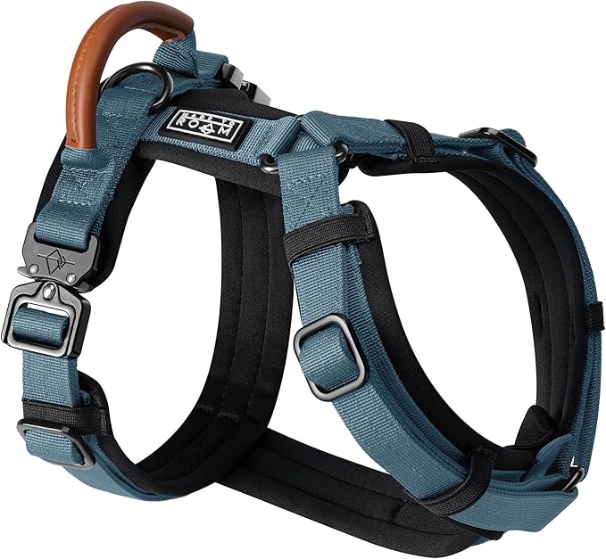 MADE TO ROAM Premium Explorer Harness - Y-Shaped Dog Harness with Adjustable Durable Nylon, Soft Padding, Metal Buckles and Leather Handle for Small, Medium, Large Dogs (California Horizon, Size 2)