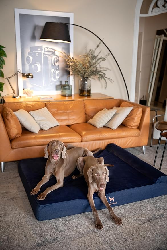 NOAH & PAW Giant Dog Bed XXL 55x45x9.5 Inch, Orthopedic Dog Beds, Eggshell Memory Foam Infused with Cooling Gel, Waterproof, Machine Washable, Includes Inner Cover (Denim Collection)