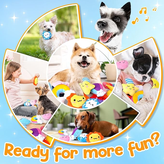 Irresistible Weather-Themed 20-Pack Squeaky Dog Toys Set for Small Dogs & Puppies, Included 16 Plush Toys with Vibrant Characters to Keep Them Busy & 4 Dog Bags