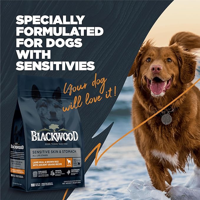 Blackwood Sensitive Skin & Stomach Dry Dog Food, Lamb Meal & Brown Rice with Ancient Grains, 10 Pound Bag with Prebiotics & Probiotics to Promote Gut Health
