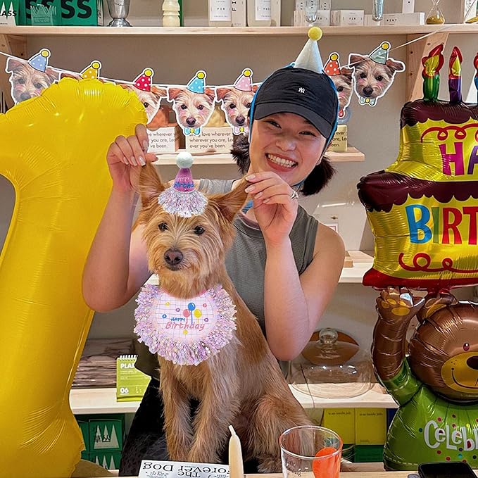 Dog Birthday Party Supplies, Dog Birthday Bandana Set,Bling Boy Girl Party Hat with Numbers for Puppy Large Medium Small Pet (Silver Set, Large)
