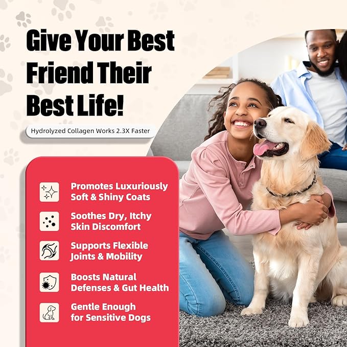 Collagen for Dogs - (90 Chews) - Beef|Flavor Itchy Skin & Allergies | Itch Relief for Dogs, Reduces Shedding & Supports Joint Health | with Probiotics, Omega 3 EPA DHA