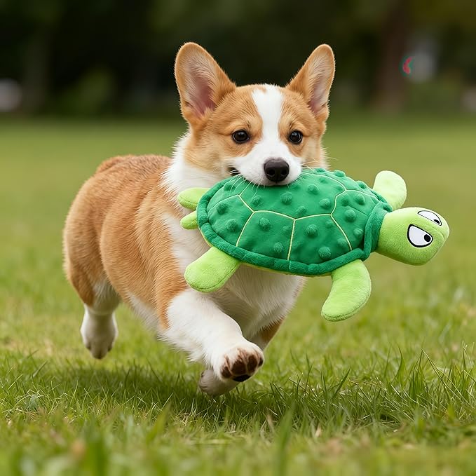 Squeaky Sea Turtle Plush Dog Toy – Durable, Stuffing-Free Interactive Chew Toy for Small Dogs – Relieves Anxiety & Teething – Keeps Puppies Busy, No Mess, Perfect for Indoor Play (Green)