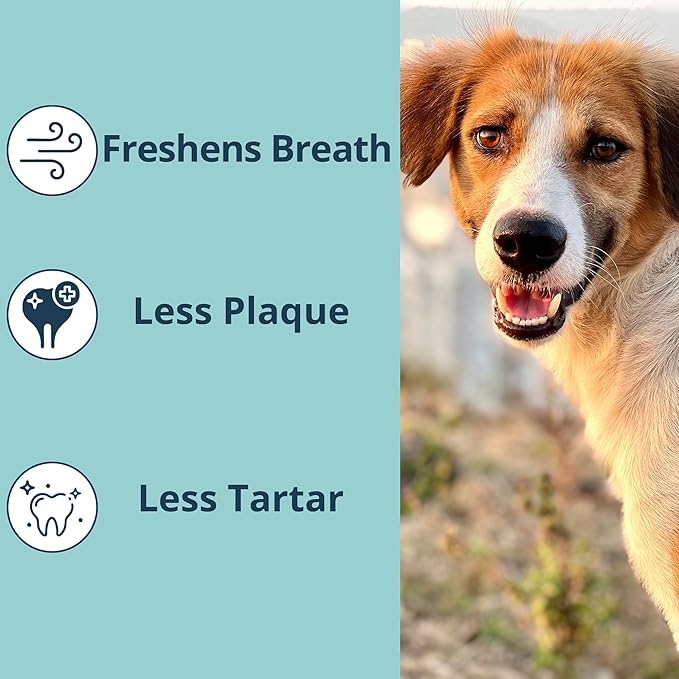 NOVEHA Pet Dental Powder | Vet-Approved Oral Care for Dogs & Cats | Natural Tartar Remover for Dogs Fresh Breath Formula | Easy Teeth Cleaning for Daily Use (1 - Pack)