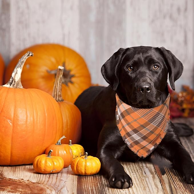 ADOGGYGO Fall Dog Bandana with Tassels Edges, Orange Red Plaid Pet Scarf Bib, Multiple Sizes Offered, Halloween Thanksgiving Fall Bandanas for Extra Large Dogs Pets (X-Large)
