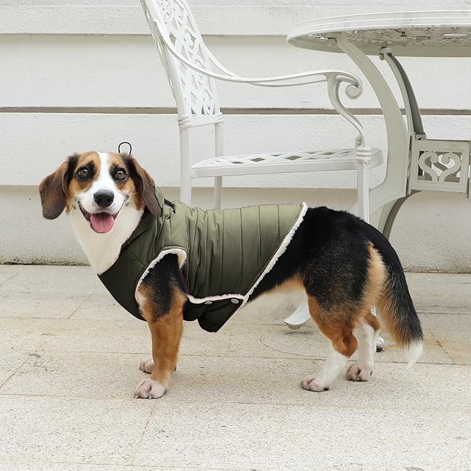 Fleece Lining Dog Hoodie with Harness Built in,Extra Warm Small Dog Jacket in Winter Puppy Coats with Drawstring Hooded,Green S