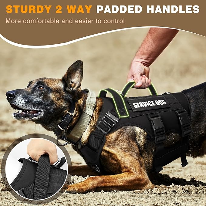 WINSEE Tactical Dog Harness with Dog Leash, Service Working MOLLE Vest with 10 Pet Patches for Large Dog, No Pull Military Harness and Backpack for Training Hunting Walking