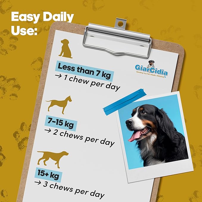 Allergy Relief & Immune Support Chews for Dogs – 90 Soft Chews, Chicken Flavor – Seasonal Itch, Skin, Paw Licking, Hot Spots – Dog Allergy Supplement