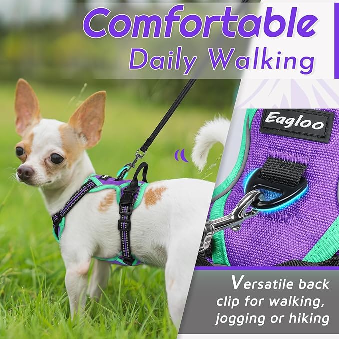 Eagloo Small Dog Harness No Pull, Service Vest with Reflective Strips and Control Handle, Adjustable and Comfortable for Walking, No Choke Pet Harness with 2 Metal Rings, Purple & Green, XS
