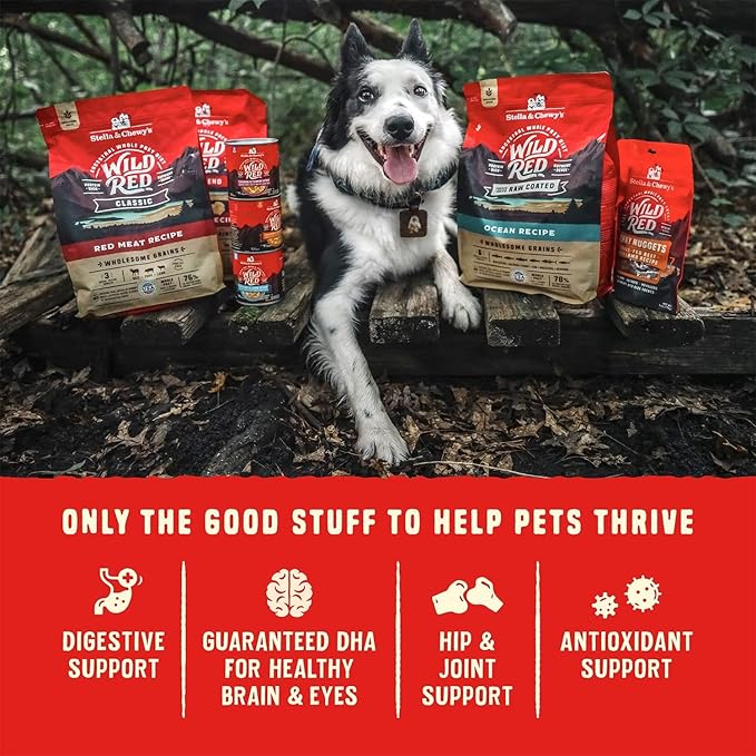 Stella & Chewy's Wild Red Dry Dog Food Raw Coated High Protein Wholesome Grains Puppy Prairie Recipe, 21 lb. Bag