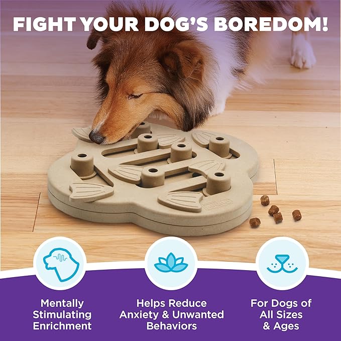Outward Hound by Nina Ottosson Dog Hide N' Slide Treat Puzzle Enrichment Toy, Level 2 Intermediate, Tan, Composite