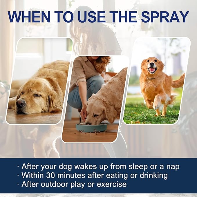 Potty Training Spray for Dogs – 150ml Dog Pee Training Aid for Puppies & Adults – Helps Guide Dogs to Pee Pads or Designated Areas – Safe Plant-Based Scent Attractant for Indoor & Outdoor Use