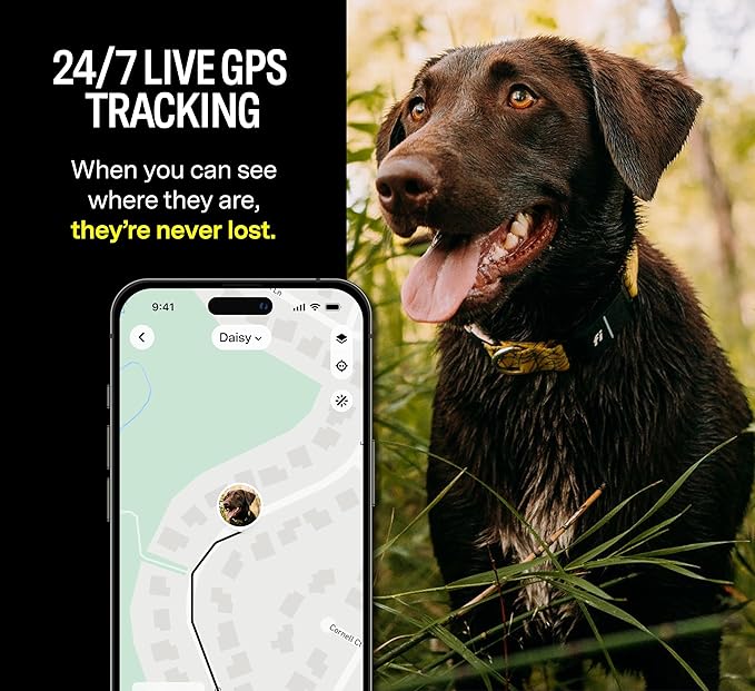 Fi Series 3 Smart Dog Collar - GPS Dog Tracker and Activity & Health Monitor, Waterproof, LED Light, Escape Alerts, Nationwide Coverage [Free 1 Year Membership] (Yellow, X Large)