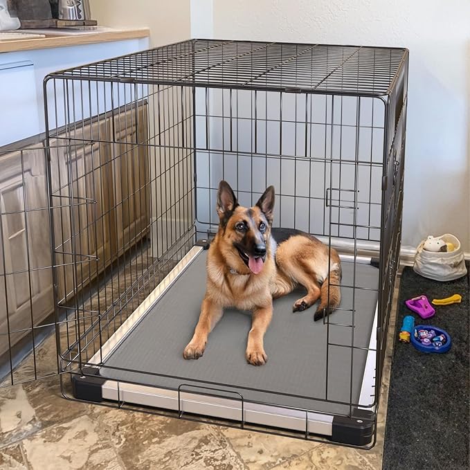 FXW TitanNest Chew-Proof Elevated Dog Bed, Raised Cot for Indoor/Outdoor/Camping Use, Durable & Washable Padded Pet Bed for Large Dogs, 47.0" L x 29.0" W x 7.3" H, Gray