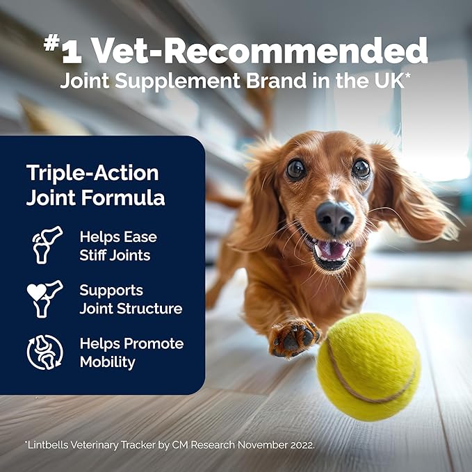 YuMOVE Hip & Joint Supplement for Dogs with Glucosamine, Hyaluronic Acid, Green Lipped Mussel & Omega 3 Joint Supplement - Regular and Advanced Strength (60ct, Chewable Tablets)
