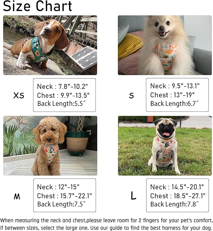 Dog Harness and Leash Set, Adjustable Dog Harness, Dog Leash, No Pull No Choke Puppy Harnesses for Walking Training for Small Medium Pet (Strawberries, S(Chest 13-19", Neck 9.5-13.1"))