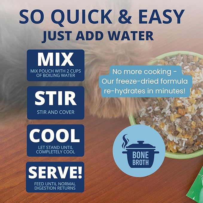 Under the Weather Easy to Digest Bland Diet for Sick Dogs - Always Be Ready - Contains Electrolytes - Gluten Free, All Natural, Freeze Dried 100% Human Grade Meats - Chicken, Rice & Bone Broth