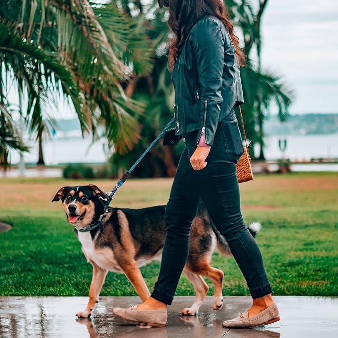 GEIT 2/4/5/6FT Dog Leash, Heavy Duty Rope Leashes, Reflective Nylon Pet Lead with Aluminum Quick Release/Locking Tactical Frog Clip for Small Medium and Large Dogs, Blue, 1/2 inch