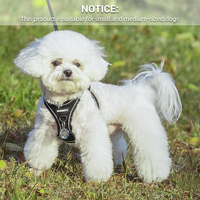 Dog Harness and Leash Set, Dog Harness for Dogs No Pull, No-Chock Step-in Reflective Breathable Lightweight Easy Walk Vest Harnesses with Safety Buckle for Small Medium Dogs, Cats (Black, XS)