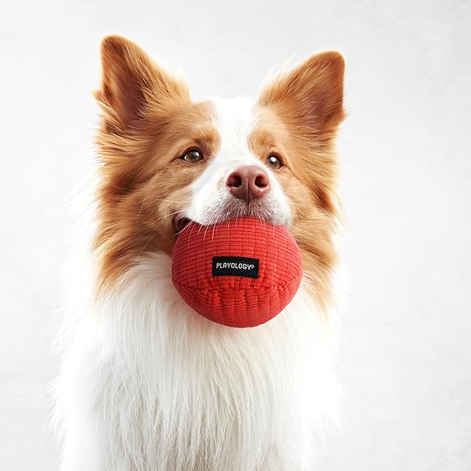 Playology Dog Toys | Squeaky Plush Toy Ball for Dogs | Medium Beef Scented Toy - Easy to Clean and Made from Non Toxic Materials