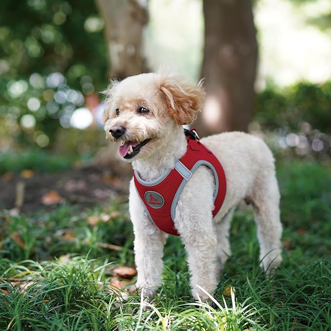 Dog Harness (Chest 18.5"-19.5", Weight 15–20 lbs) Athletica Adjustable Heavy Duty No Choke Puppy Vest for Small Dogs Lightweight Air Mesh, Reflective, Puppy Essentials – Amethyst, Large