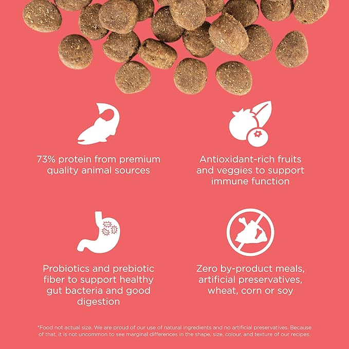 Go! Solutions Carnivore, Grain-Free, Protein Rich Dry Dog Food, Salmon and Cod Recipe, 12 lb Bag