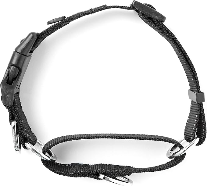 Mighty Paw Martingale Nylon Training Collar - Martingale Collar Dog - Limited Slip Design for Controlled Training - Reflective Stitching for Safety - Black Collars - Medium Size