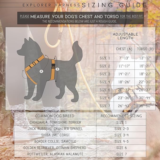 MADE TO ROAM Premium Explorer Harness - Y-Shaped Dog Harness with Adjustable Durable Nylon, Soft Padding, Metal Buckles and Leather Handle for Small, Medium, Large Dogs (Carolina Blooms, Size 5)