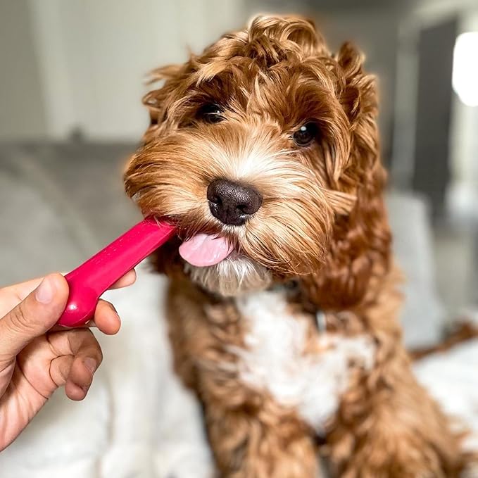 Nylabone Original Bone Power Chew Toy Value Pack for Dogs, Durable Dog Toys for Aggressive Chewers, Long Lasting Chicken, Bacon, and Peanut Butter Flavor, Small Dogs - Up to 25 Ibs, 3 Pack