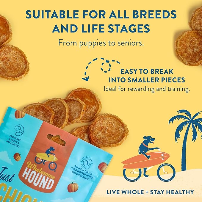 Just Chicken & Pumpkin Chips | Two Premium Ingredient & Healthy Dog Treats | All Natural Canine Rewards | Dog Training Treats for Small, Medium, and Large Breeds | Made in USA - 3oz