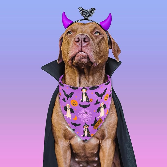 Halloween Dog Bandanas - 2 Pack Purple Dog Bandana with Snap Button | Reversible Pet Scarf for Boy & Girl | Premium Durable Fabric | Holiday Bandana for Medium and Large Dogs (Large)