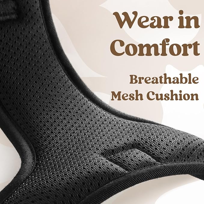 rabbitgoo Dog Harness for Large, No Pull Pet Harness with 3 Buckles, Adjustable Soft Padded Vest with Control Handle, Walking Reflective Pet Vest for Large Dogs, Black, L