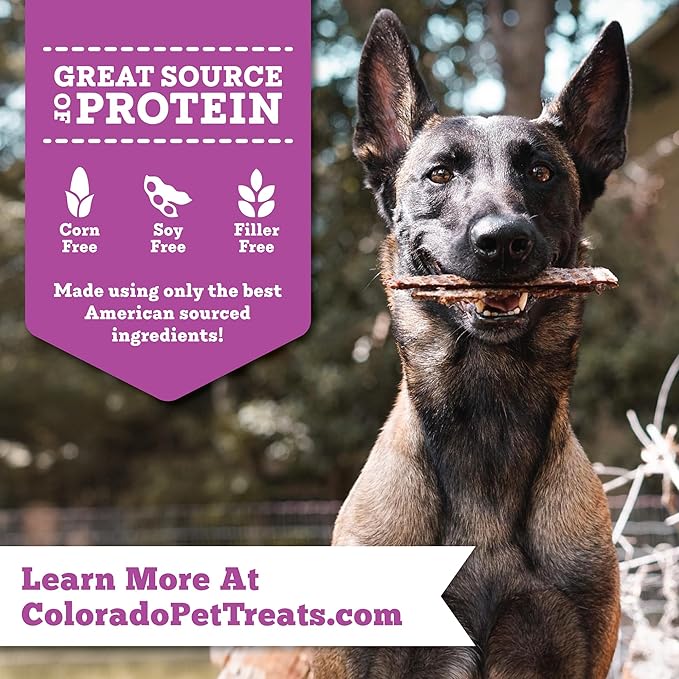 Fresh Field Bison & Apple Jerky Chips, 5 oz – All-Natural Dog Treats, USA Made, No Fillers, Perfect for Picky Pets