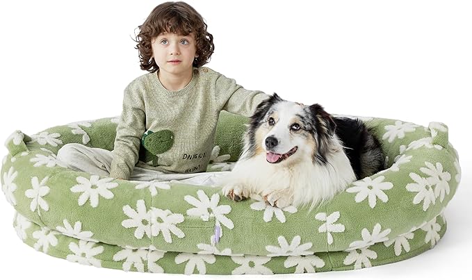 LE SURE Human Dog Bed for Adult - Calming Human Size Dog Bed with Egg Foam Supportive Mat and Storage Pocket, Cute Modern Pet Beds with Jacquard Shaggy Plush & Anti Slip Bottom 55x37x10, Green