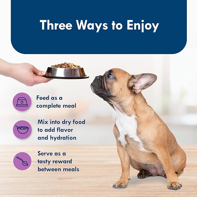 Blue Buffalo Delights Natural Adult Small Breed Wet Dog Food Cups, Pate Style, Top Sirloin Flavor in Savory Juice 3.5-oz (Pack of 12)