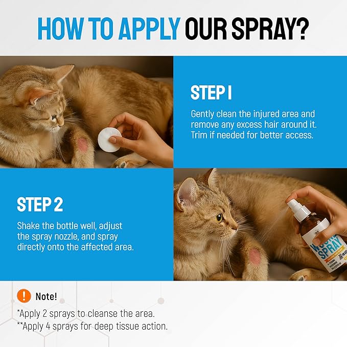 Cat Wound Care Spray with Silver – Wounds, Rashes, Hot Spots, Itch, Scratching, Irritation, Bites & Burns – Use a Cat Cone to Prevent Licking – Safe Formula – 4 Oz