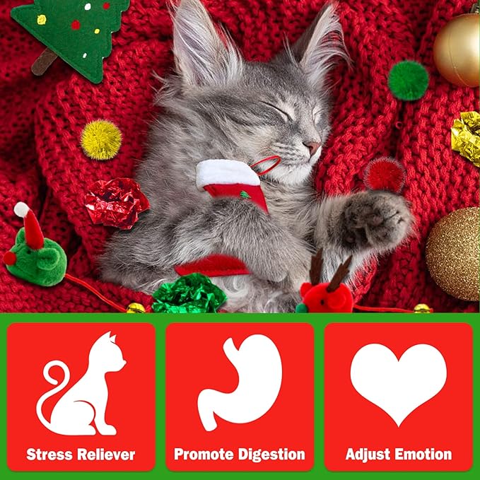 Cat Christmas Stocking, 10 Pack Christmas Cat Toys, Cat Gifts for Christmas, Interactive Cat Feather Toy with Catnip, Cat Ball Toys, Crinkle Balls for Cat, Mice Toys for Indoor Cats & Kitten