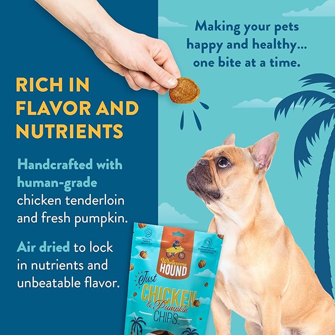 Functional Just Chicken & Pumpkin Chips | Two Premium Ingredient & Healthy Chicken Chips | All Natural Dog Treats | Dog Training Treats | Supports Digestion | Made in USA - 7oz