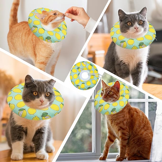 Cat Cone Collar Soft, Adjustable Cat Recovery Collars Kitten Cones to Stop Licking, Cute Donut Neck Collar After Surgery, Elizabethan Collar for Cats After Spay (Green Lemon, Small)