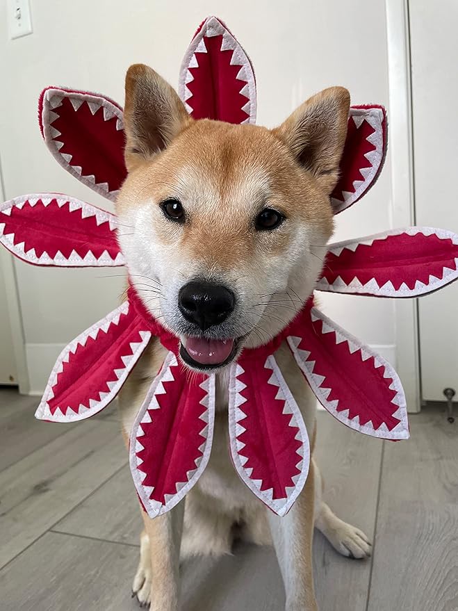ComfyCamper Red Flower Dog Costume - X Large Medium Small French Lab Retriever Shepherd Pet Cosplay Halloween Costumes (Medium)